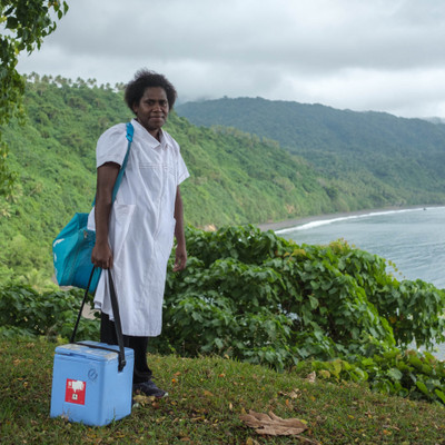 Large vaccine carrier - Large portable vaccine carrier to keep vaccines effective