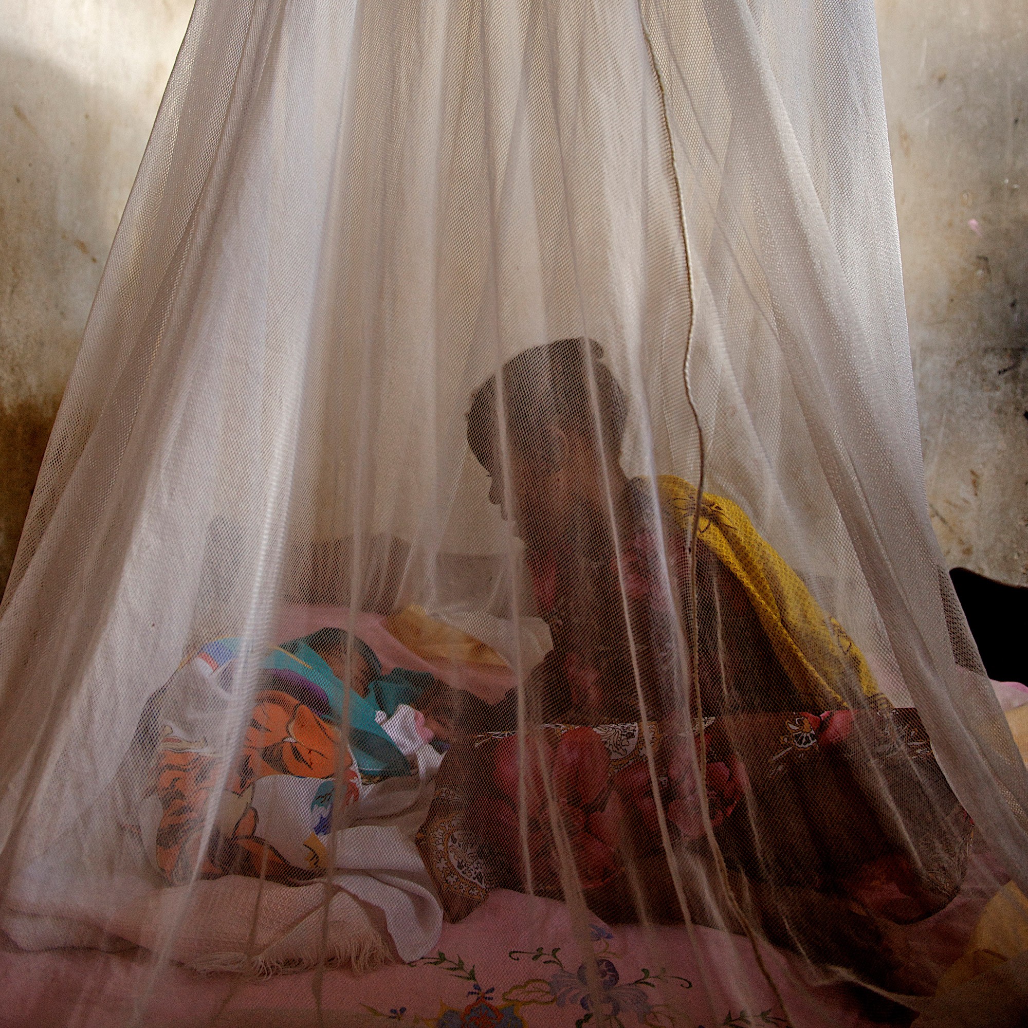 Mosquito Netting Protect 9 Families from Malaria Inspired Gifts