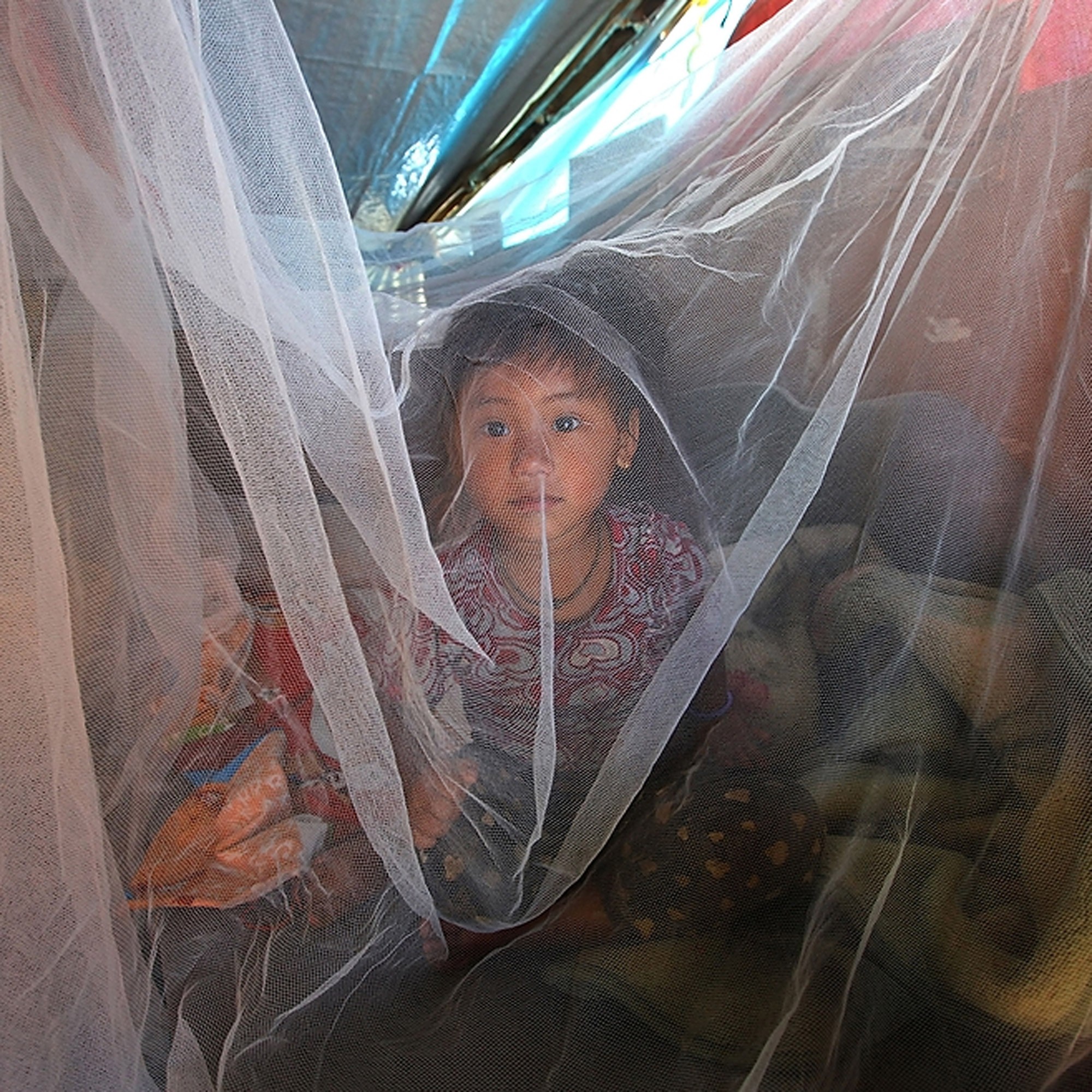 Mosquito Netting Protect 9 Families from Malaria Inspired Gifts