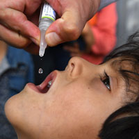100 Doses of the Polio Vaccine - 100 Doses of the Polio Vaccine