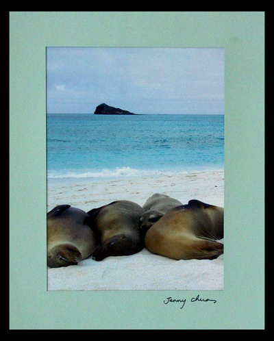 Paper Sea Life Photography Print