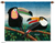 Wool tapestry, 'Two Toucans' - Hand Made Wool Tapestry from Peru (image 2a) thumbail