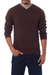 Alpaca men's sweater, 'Brown Favorite Memories' - Men's Alpaca Blend V Neck Sweater from Peru (image 2a) thumbail