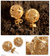Pendientes filigrana chapados en oro - Aretes de filigrana chapados en oro de Perú
