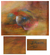 'Clinical Eye' - Abstract Oil Painting thumbail