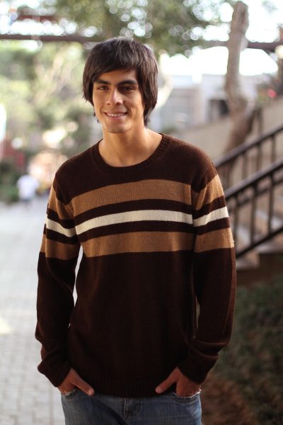 100% alpaca men's sweater, 'Andean Voyage' - Handcrafted Men's Alpaca Wool Striped Pullover Sweater