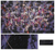 'Composition in Violet' - Original Fine Art Abstract Painting from Peru (image 2) thumbail