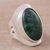 Chrysocolla cocktail ring, 'Cradle of Peace' - Sterling Silver Single Stone Chrysocolla Cocktail Ring thumbail