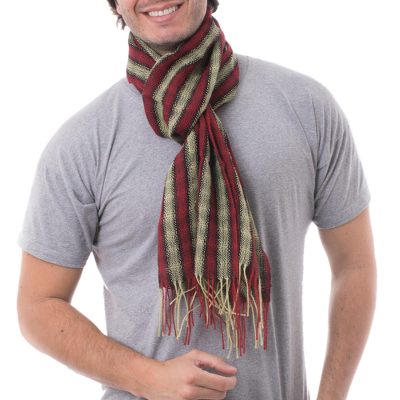 Men's 100% alpaca scarf, 'Winter Cheer' - Men's 100% alpaca scarf