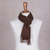 Men's 100% alpaca scarf, 'Earth Brown' - Men's 100% alpaca scarf (image 2c) thumbail