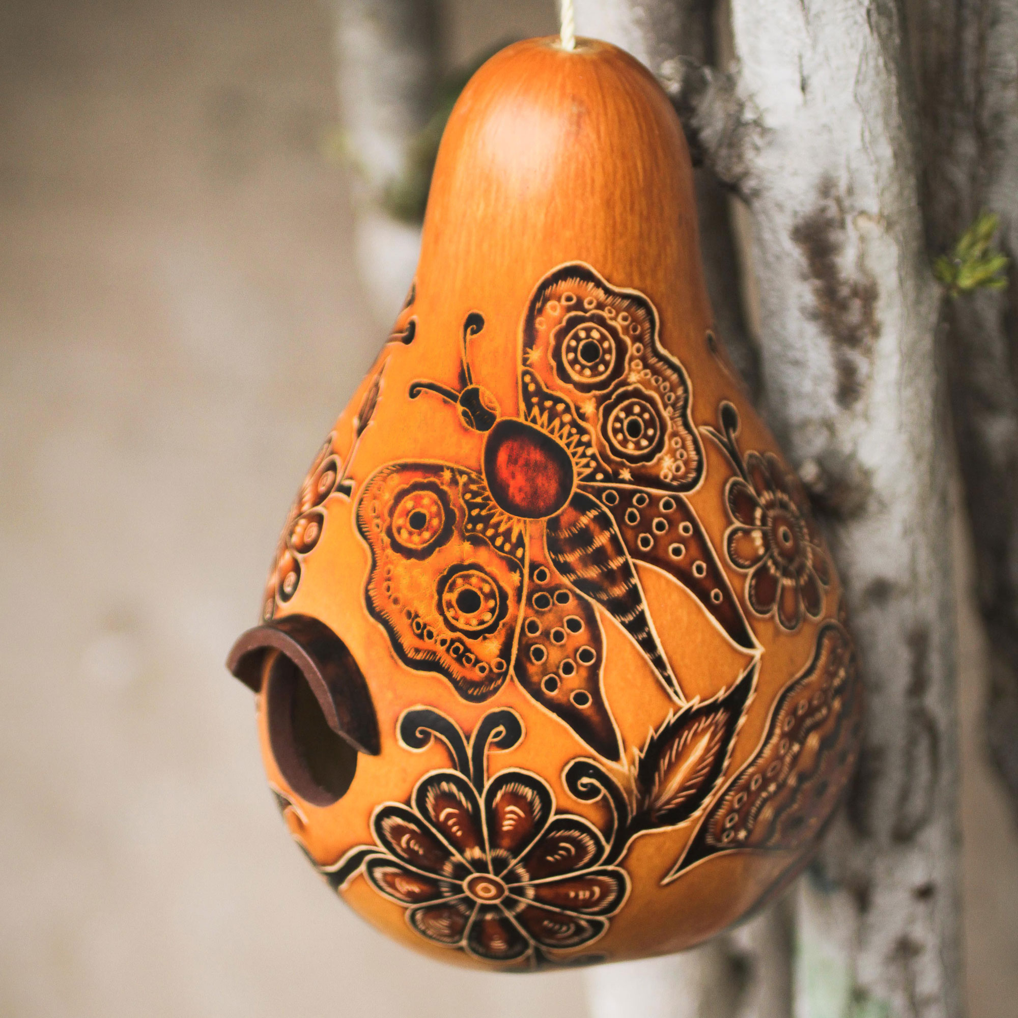 Mate Gourd Birdhouse Folk Art from Peru Andean