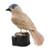 Caramel calcite sculpture, 'Sparrow of Creativity' - Bird Sculpture in Caramel Calcite on Onyx Stand (image 2b) thumbail