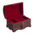 Leather and mohena wood jewelry box, 'Treasure Chest' - Peruvian Tooled Leather Chest for Jewelry (image 2e) thumbail
