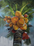'Coconut Glow' - Palm Tree Oil on Canvas Realism Painting Signed by Artist