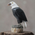 Onyx and calcite sculpture, 'Proud Eagle' - Fair Trade Gemstone Eagle Sculpture thumbail
