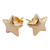 Gold plated button earrings, 'Shining Star' - Petite Sterling Silver Star Earrings Bathed in 18k Gold (image 2b) thumbail