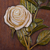 Cedar relief panel, 'The White Rose' - Handcrafted Cedar Wall Relief Panel of Roses from Peru (image 2b) thumbail