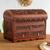 Leather and  wood jewelry box, 'Brave Swan' - Handcrafted Wood and Leather Jewelry Box from Peru (image 2) thumbail