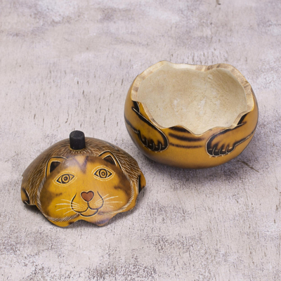 Caja de mate seco - Caja de gato de calabaza seca mate artesanal andina