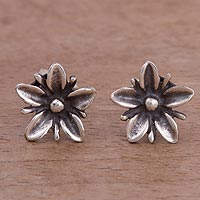 Sterling silver stud earrings, 'Gleaming Daisies' - Floral Sterling Silver Stud Earrings from Peru