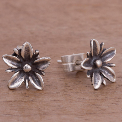 Sterling silver stud earrings, 'Gleaming Daisies' - Floral Sterling Silver Stud Earrings from Peru