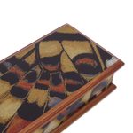 Reverse-painted glass decorative box, 'Butterfly Dream' - Reverse-Painted Glass Decorative Box from Peru