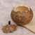 Gourd decorative box, 'Andean Trilogy' - Hand Carved Andean Trilogy Sun and Moon Gourd Decorative Box (image 2b) thumbail
