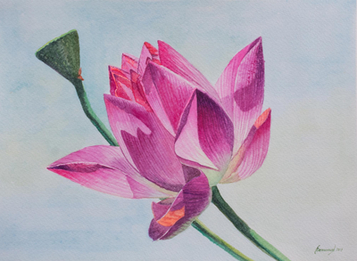 'Flor de loto' - Acuarela firmada de una flor de loto de Perú