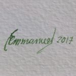 'Lotus Flower' - Signed Watercolor Painting of a Lotus Flower from Peru