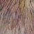 'King of the Dawn' - Signed Watercolor Painting of a Rooster from Peru (image 2c) thumbail