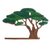 Wood sculpture, 'Olive Tree' - Wood Olive Tree Sculpture Crafted in Peru