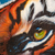 'Wild Feline' (2018) - Signed Realist Painting of an Orange Tiger from Peru (2018) (image 2b) thumbail