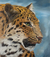 'Leopard' - Signed Painting of a Spotted Leopard from Peru thumbail