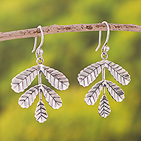 Sterling silver dangle earrings, 'Symmetric Leaves' - Leaf Motif Sterling Silver Dangle Earrings from Peru