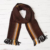 100% alpaca scarf, 'Mountain Charm' - Striped Handwoven 100% Alpaca Wrap Scarf from Peru