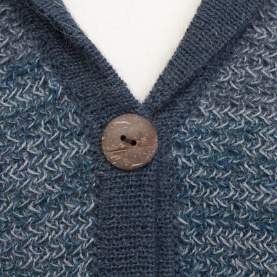 Men's 100% alpaca cardigan, 'Andean Spruce' - Men's Andean Alpaca Cardigan Sweater