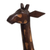 Escultura de madera - Escultura de jirafa de madera de cedro tallada a mano de Perú