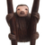Cedar wood sculpture, 'Sloth' - Hand-Carved Cedar Wood Sloth Sculpture from Peru