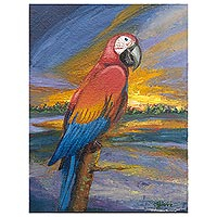 Scarlet Macaw at Sunset