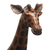 Wood cellphone holder, 'Elegant Giraffe' - Hand Crafted Giraffe Cellphone Holder (image 2g) thumbail