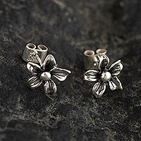 Sterling silver stud earrings, 'Andean Nature' - Artisan Crafted Sterling Silver Flower Stud Earrings