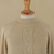 Alpaca blend sweater, 'Braided Beige' - Braided Detail Crew Neck Alpaca Blend Sweater from Peru