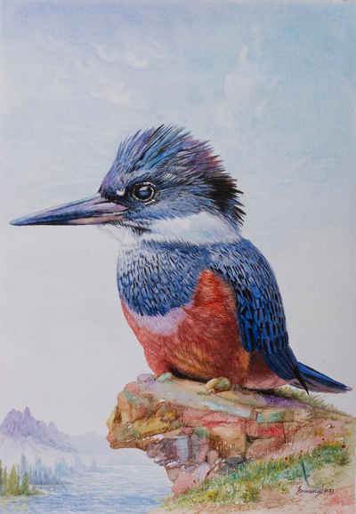 Framed Kingfisher Drawing — Amanda Surveski Wildlife Art
