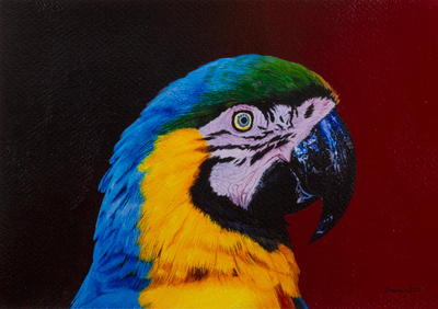 Original Realistic Macaw Bird Painting from Peru