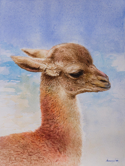 'In the Andes' - Signed Original Watercolor Baby Alpaca Painting from Peru