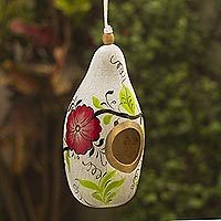 Dried gourd birdhouse, 'Blossoms and Clouds' - Handmade Floral Gourd Birdhouse