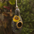 Dried gourd birdhouse, 'Sunflower and Earth' - Sunflower Motif Dried Gourd Birdhouse thumbail