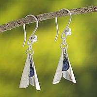 Sodalite dangle earrings, 'Silver Leaf' - 925 Sterling Silver and Sodalite Dangle Earrings from Peru