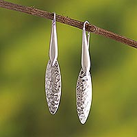 Sterling silver dangle earrings, 'Mirror Bright' - Hammered Sterling Silver Earrings