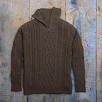 Brown Men's 100% Alpaca Sweater,'Woodland Walk in Mushroom'